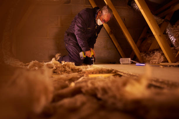Best Eco-Friendly Insulation in Levittown, NY